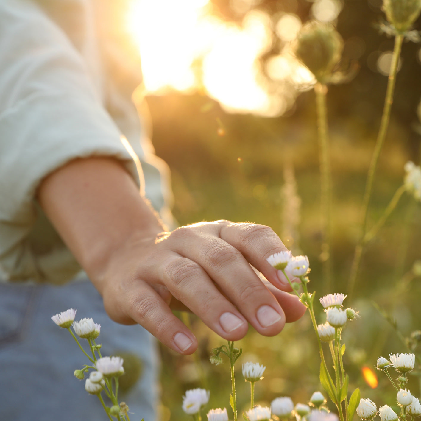 NEURODERMITIS IN DER POLLENZEIT: WARUM DIE HAUT JETZT BESONDERS REAGIERT – UND WAS DU TUN KANNST